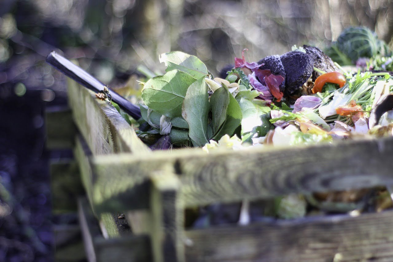 garden, compost, nature